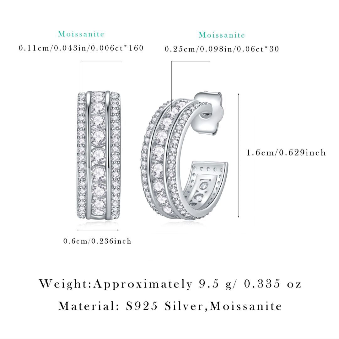 Niche Light Luxury 925 Sterling Silver Hoop Earrings | European & American Style | Non-Tarnish | Moissanite | Hot Sale Cross-Border New Arrival In Stock