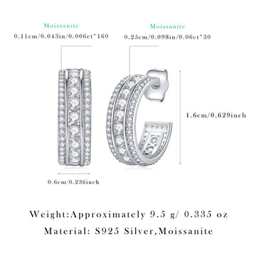 Niche Light Luxury 925 Sterling Silver Hoop Earrings | European & American Style | Non-Tarnish | Moissanite | Hot Sale Cross-Border New Arrival In Stock
